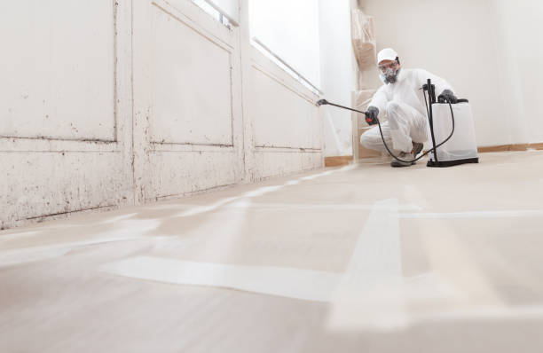24/7 Emergency Basement Mold Remediation experts in Union City, TN